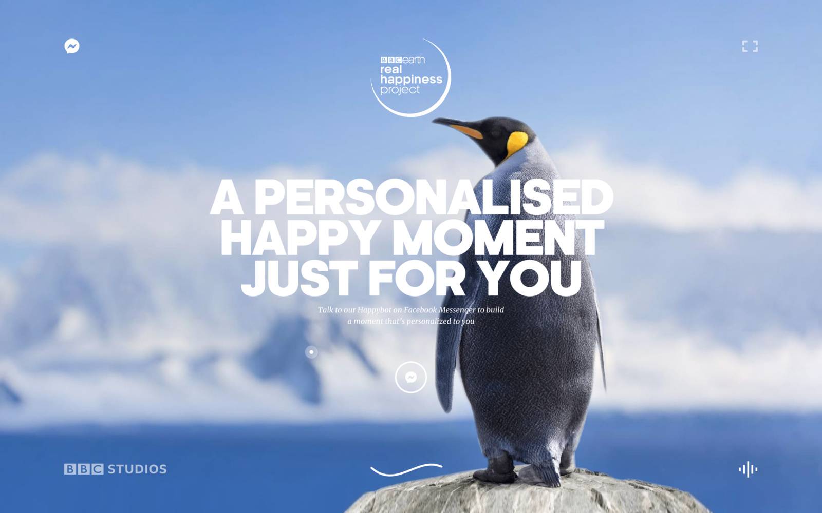 Real Happiness Project from BBC Earth